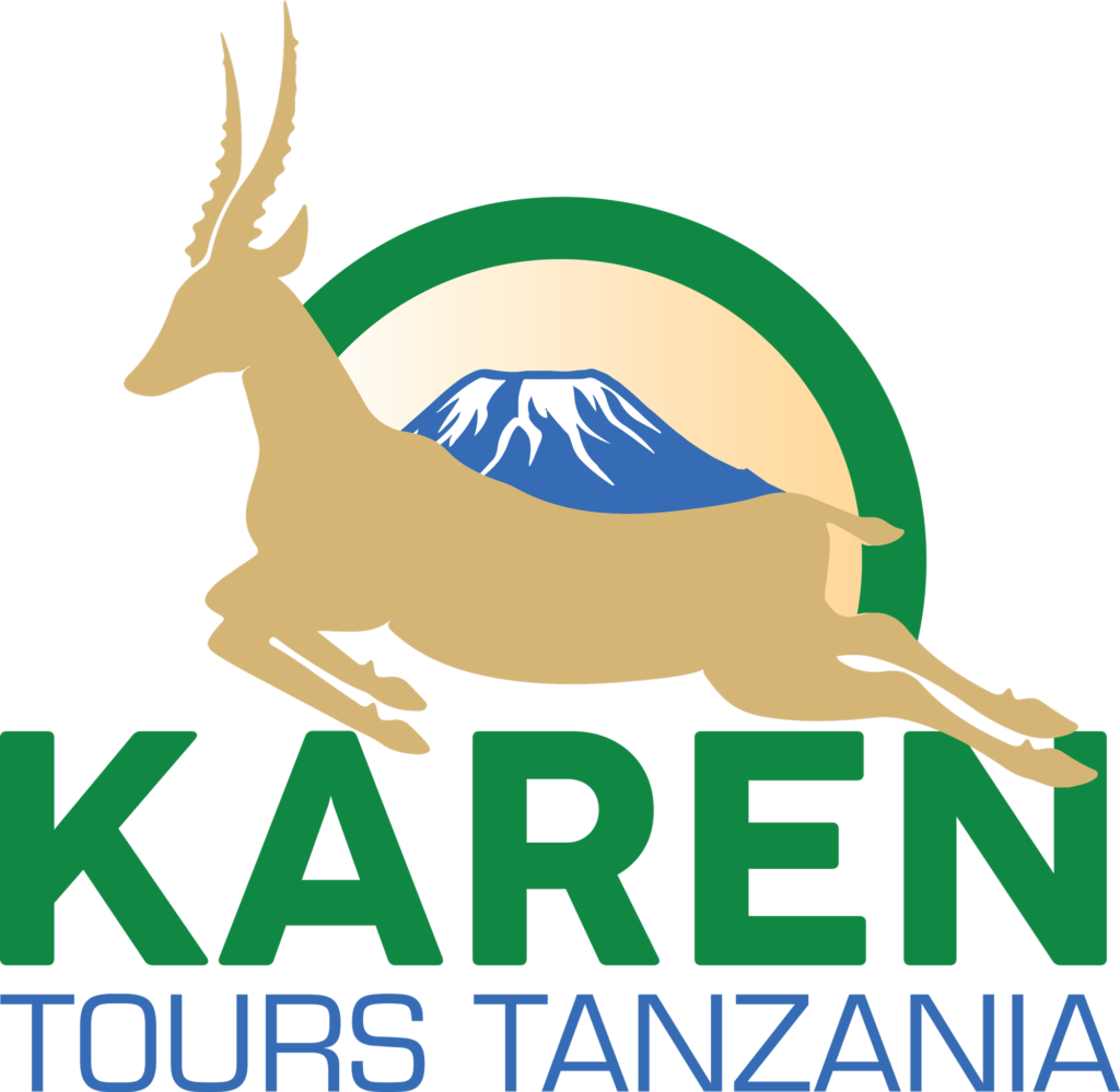 karen tanzania tours