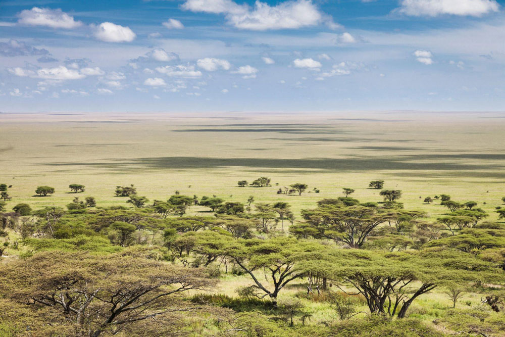 Serengeti-National-Park-Tanzania-safari-Destination-1-1.jpg