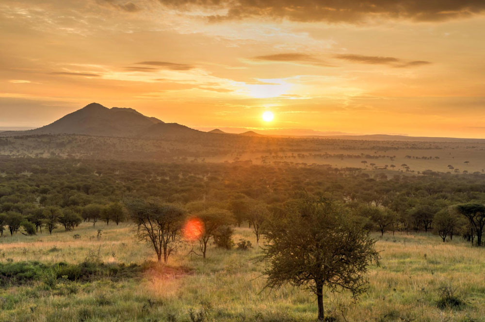 Serengeti-National-Park-Tanzania-safari-Destination-2.jpg