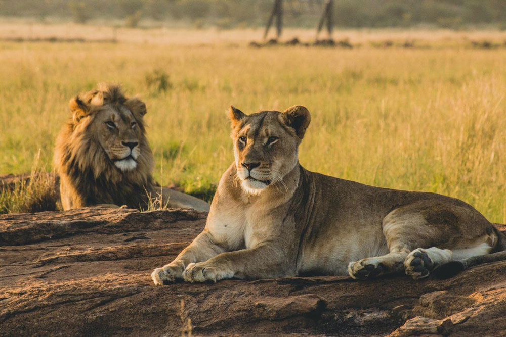 Serengeti-National-Park-Tanzania-safari-Destination-3.jpg