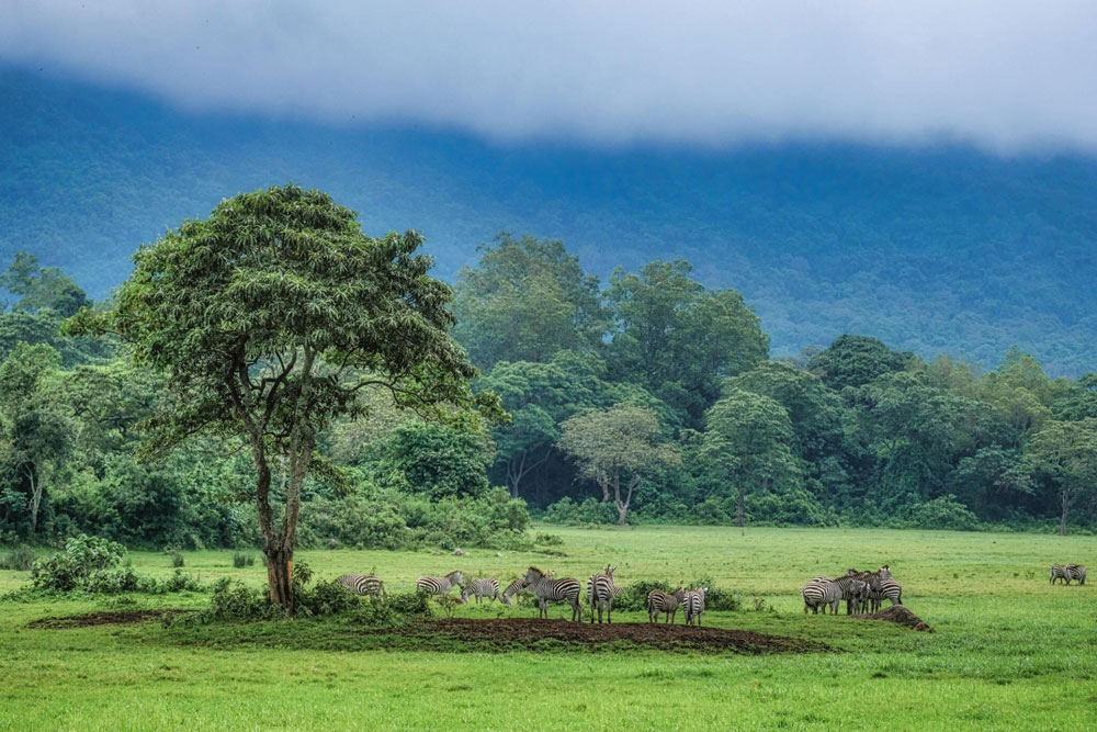 Arusha-National-Park-Tanzania-safari-5