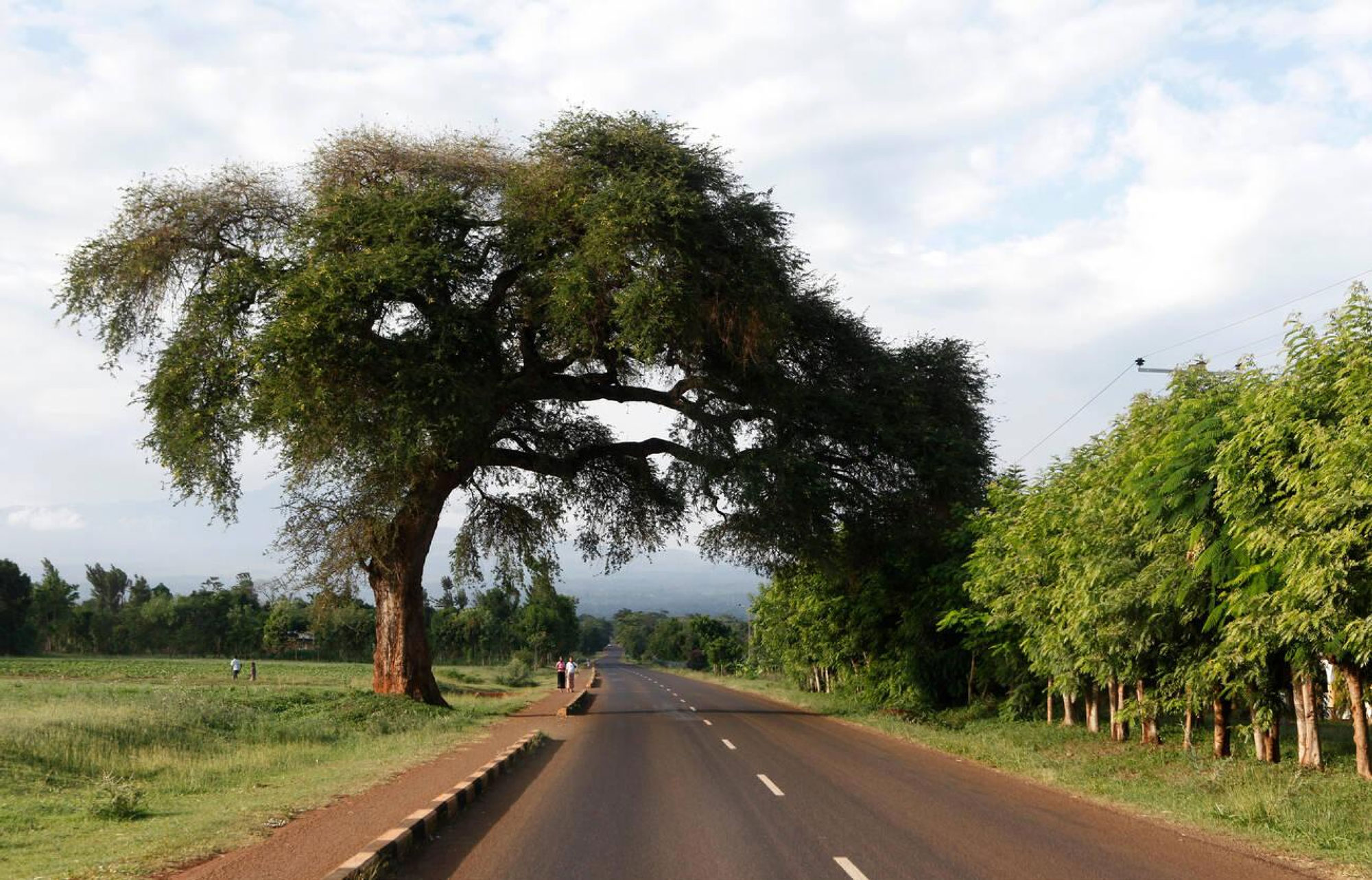 Kilimanjaro-National-Park