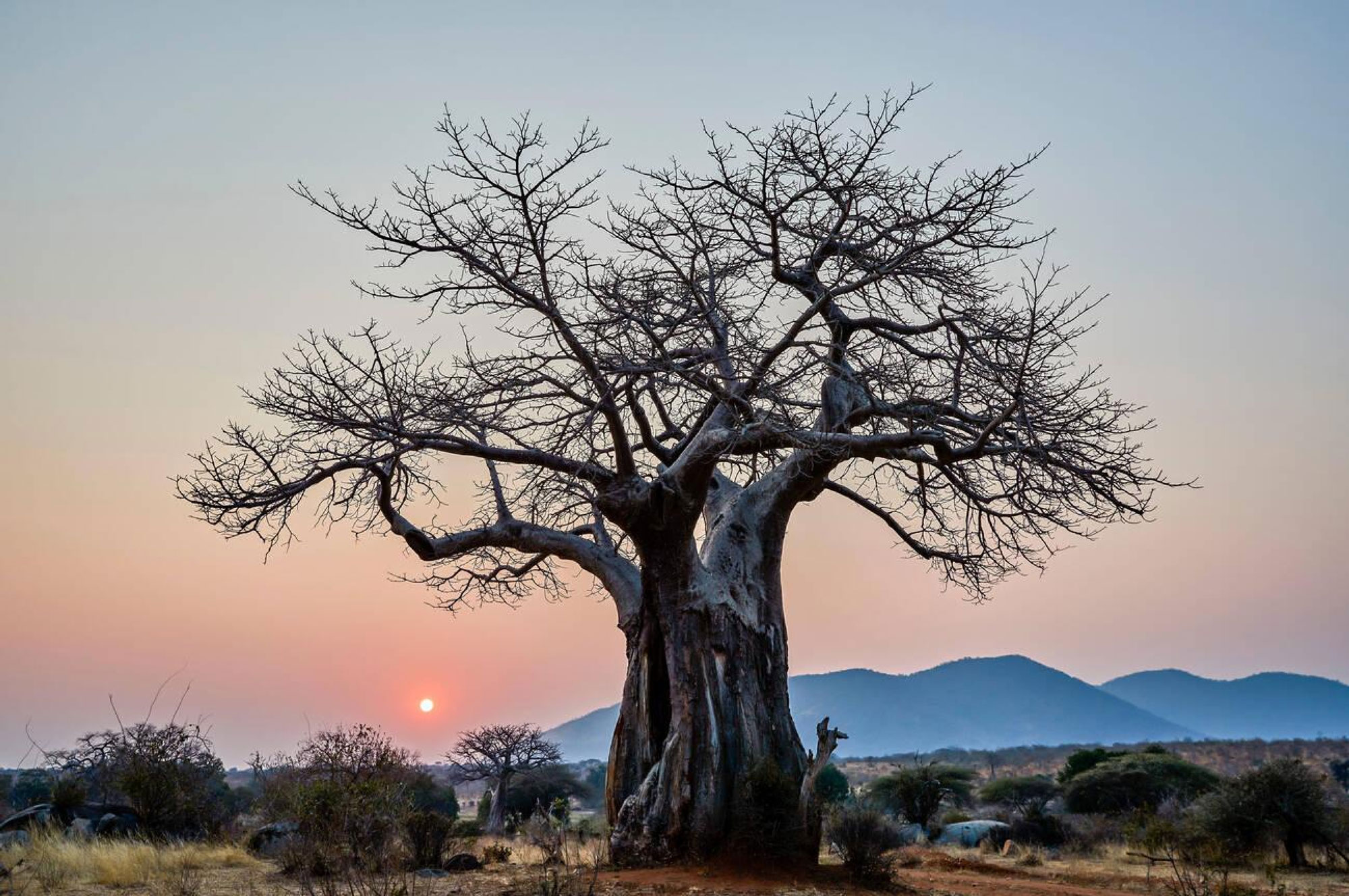 Ruaha-National-Park-5