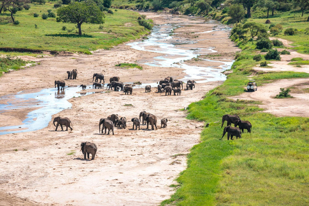 Tarangire-National-Park-Tanzania-safari-destination-5