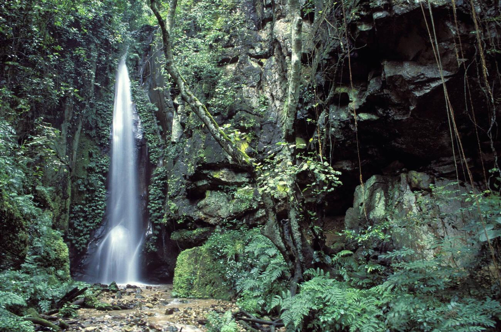 gombe-stream-national-park-5