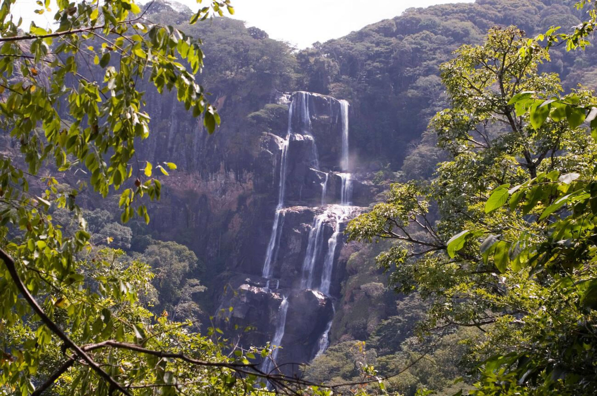 udzungwa-mountains-national-park-1