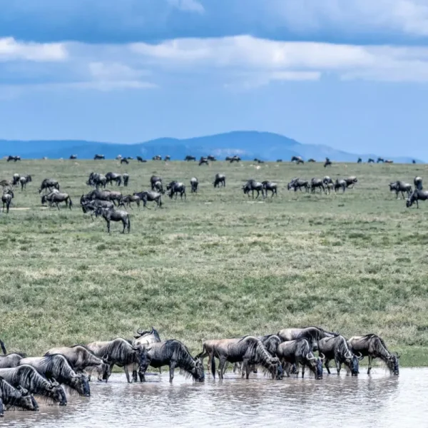 Nothern Tanzania