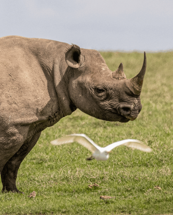 Karen Tours Tanzania